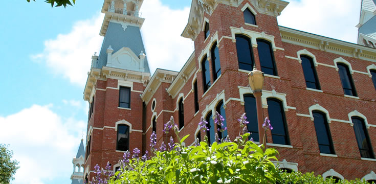 在线呼死你轰炸